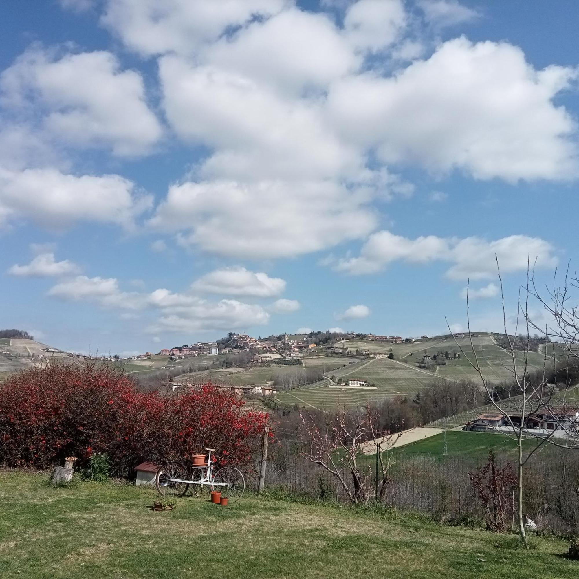 Agriturismo Bric Di Gai Monforte dʼAlba Rom bilde
