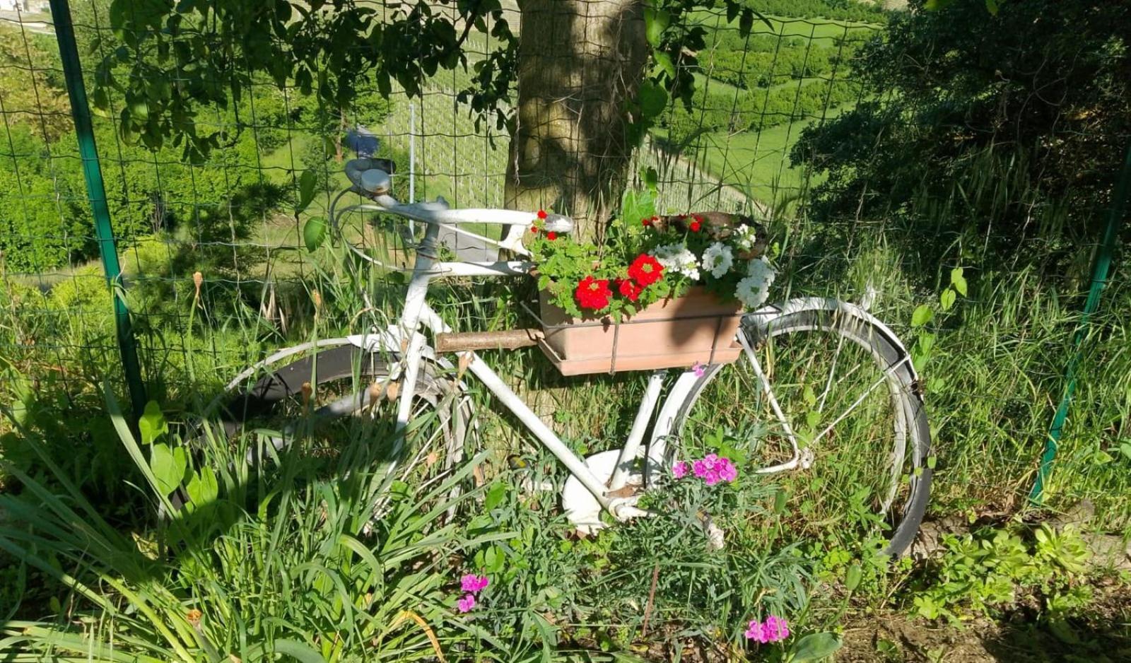 Agriturismo Bric Di Gai Monforte dʼAlba Eksteriør bilde