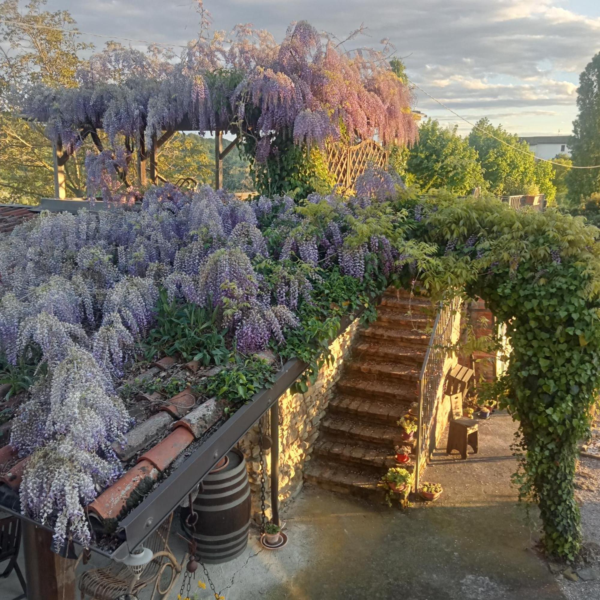 Agriturismo Bric Di Gai Monforte dʼAlba Eksteriør bilde